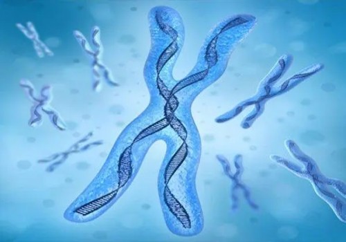 绍兴助孕供卵代生:女人的绝经:是一个女性开始衰老的标志吗?