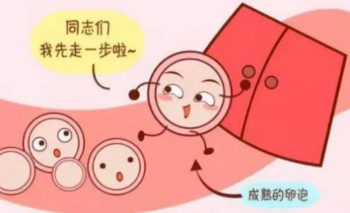 水解奶粉和氨基酸奶粉有区别！根据宝宝的情况选择奶粉很重要