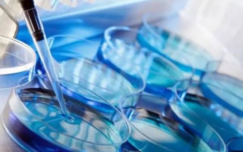 备孕多吃碱性食物能提高生男孩的几率，附五种常见碱性食物