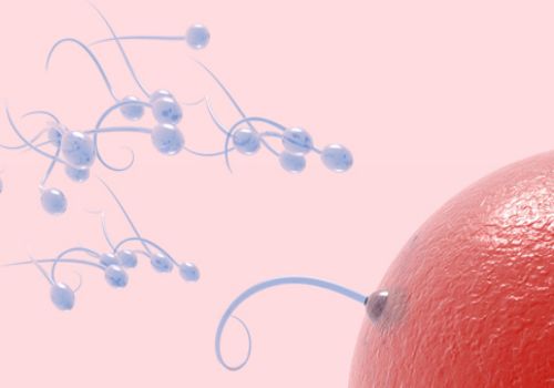 绍兴正规助孕机构：卵巢早衰对移植的影响，一文带你了解有多大