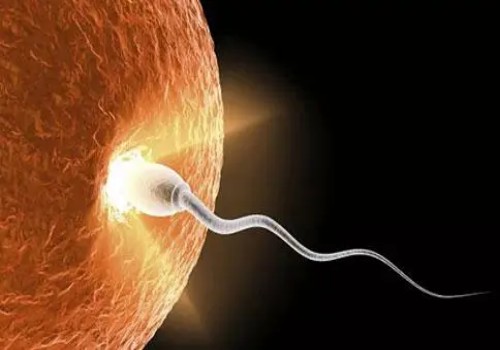 绍兴试管助孕价格：输卵管堵塞可以吃什么药打通，医生：根据实际情况选择