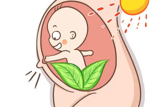 绍兴试管助孕公司：卵巢早衰患者应该如何进行饮食调理？有哪些食物可以帮助改善症状？