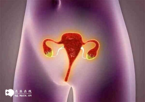 绍兴三代试管助孕：男性备孕攒精的禁欲时间解析，了解必备的适应人群与注意事项！