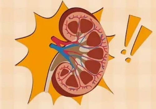 2023南通市中医院试管婴儿完整攻略手册，附助孕成功率预估