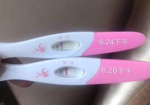 2023上海六院南院试管婴儿科普知识导航，助孕成功率评估