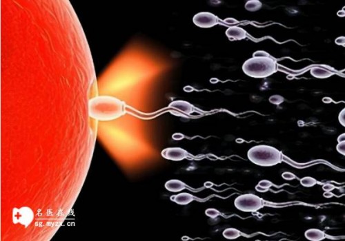 绍兴正规助孕机构：试管婴儿的成功率是受男性影响大还是受女性影响大？